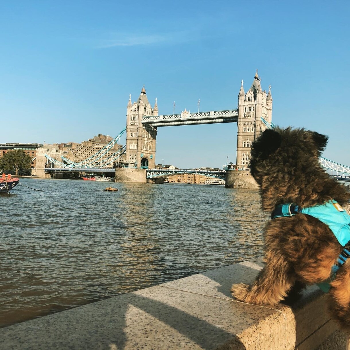 イギリスワーホリや渡英についての相談のります イギリスワーホリについての相談に現役生が回答します イメージ2