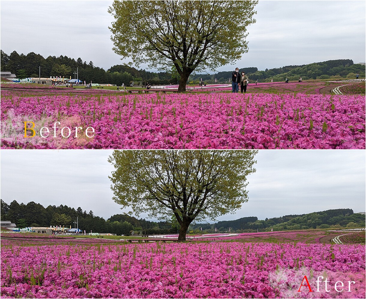 写真に写った消したい対象を修正します 現役デザイナーが一枚づつ丁寧に修正します イメージ4