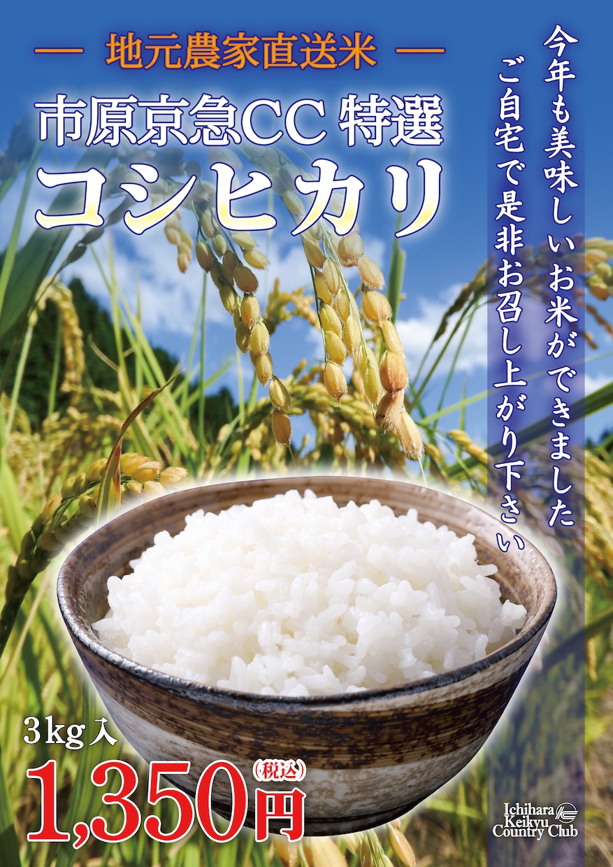 飲食店さま向けの各種メニューをデザインします オシャレ系でも可愛い系でもご要望に合うデザインのメニュー制作 イメージ4