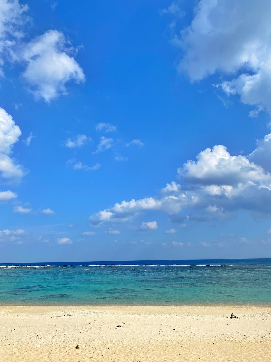 奄美大島の旅行プラン、出身者が親身にお手伝いします グルメ・観光・宿選び・移動手段、目的に合わせてご案内します。 イメージ5