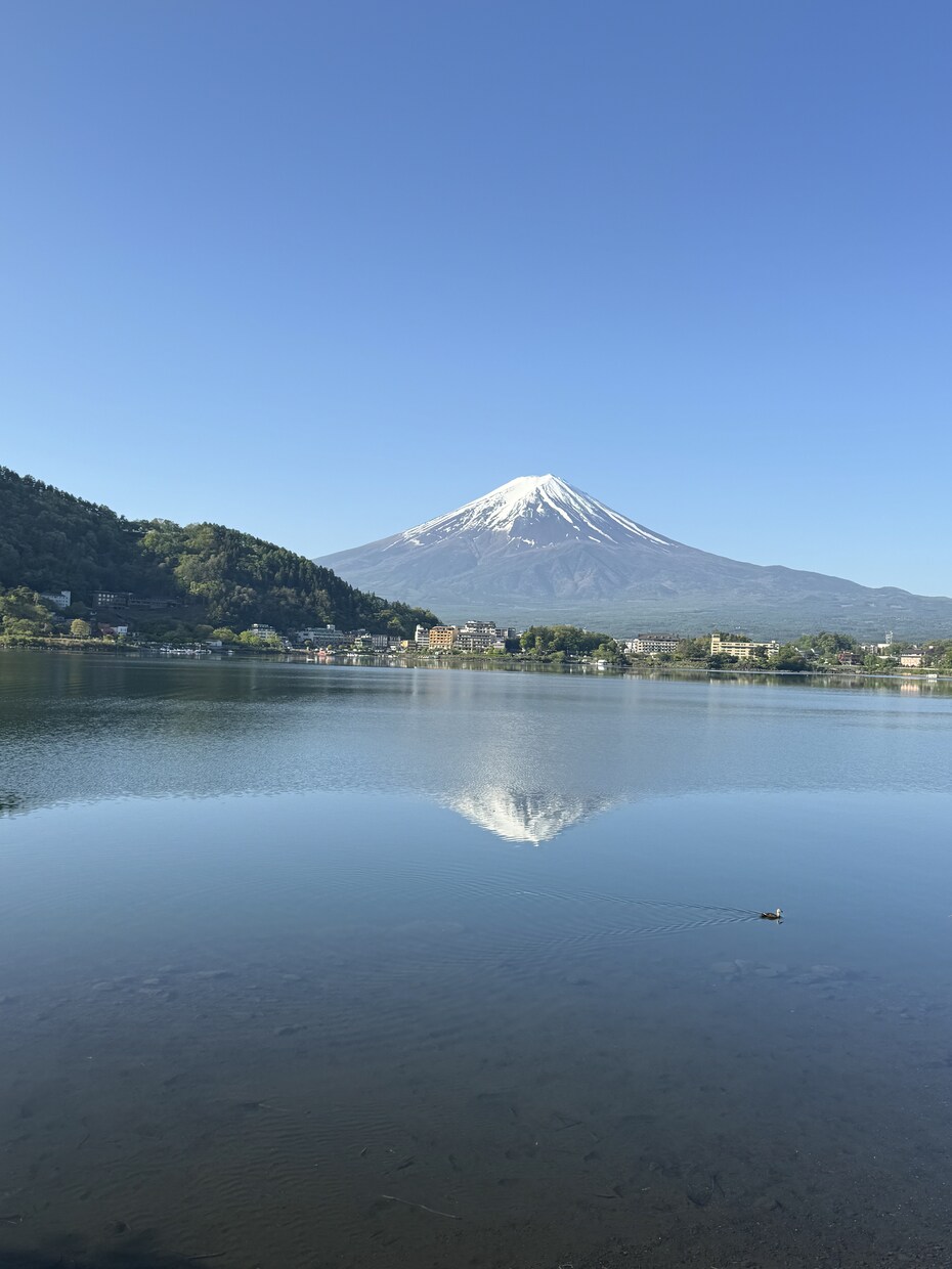 1人旅またはカップルプラン企画します 物価高対抗！予算抑えめの関西発着旅行プランをご提案します イメージ2
