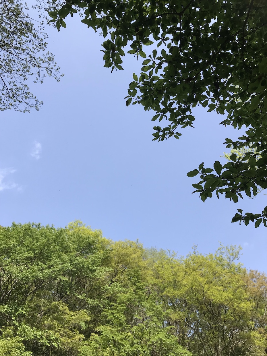 職場でのモヤモヤや友達のイライラなどお聞きします メンタル心理カウンセラー有資格者です❤️悩みを優しく聞きます イメージ8