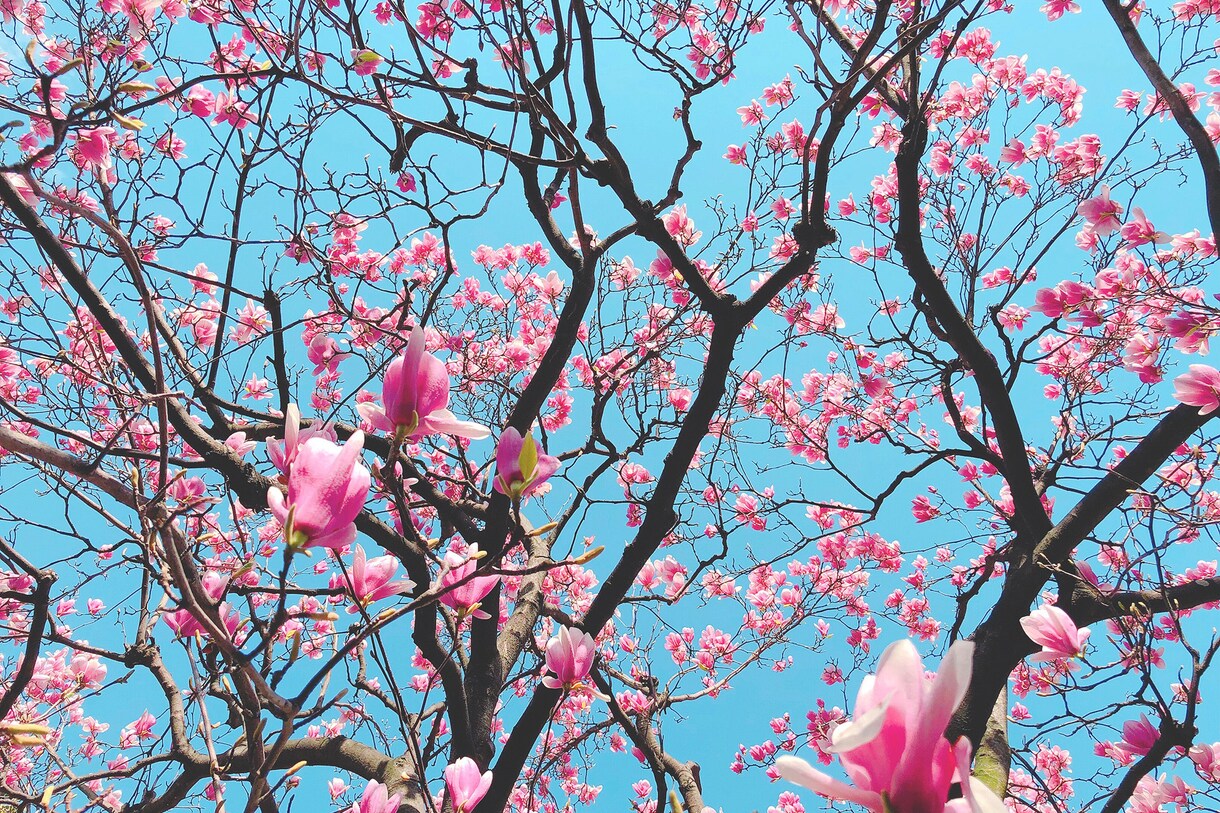 あなたの魅力いっしょに見つけます 自信をつけて輝きましょう♡ ﻿ イメージ3