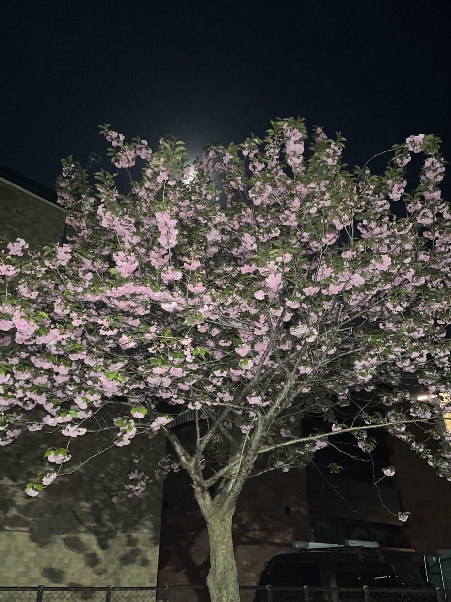 あなたの希望する写真撮影します あなたの望む写真を僕に撮らせてください。、 イメージ2