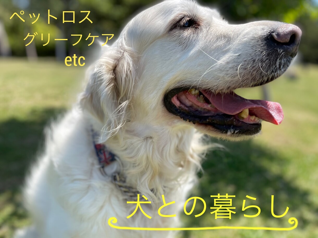アニマルコミニュケーションで鑑定します ペットロス、ベットの気持ちをタロットでペットの声を届けます！ イメージ1