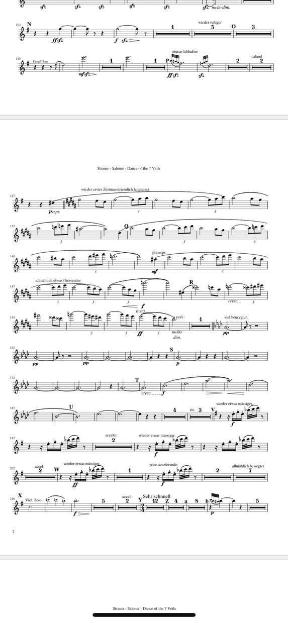 移調楽譜作ります 自分の楽器で好きな曲を演奏しよう！ イメージ2
