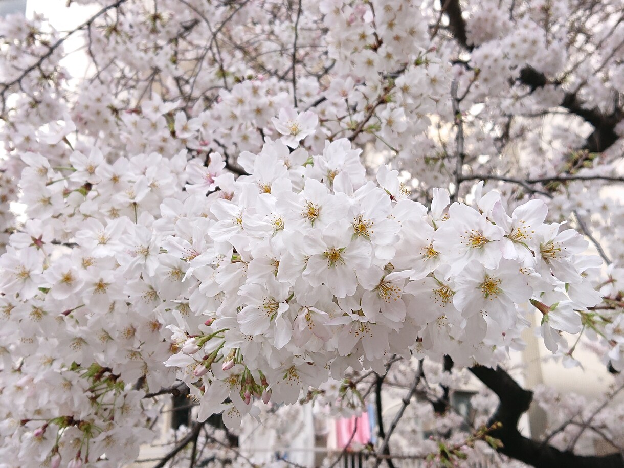 職場のあの人の気持ち、占います 職場のいつも冷たいあの人、なんて思ってるの？？ イメージ1