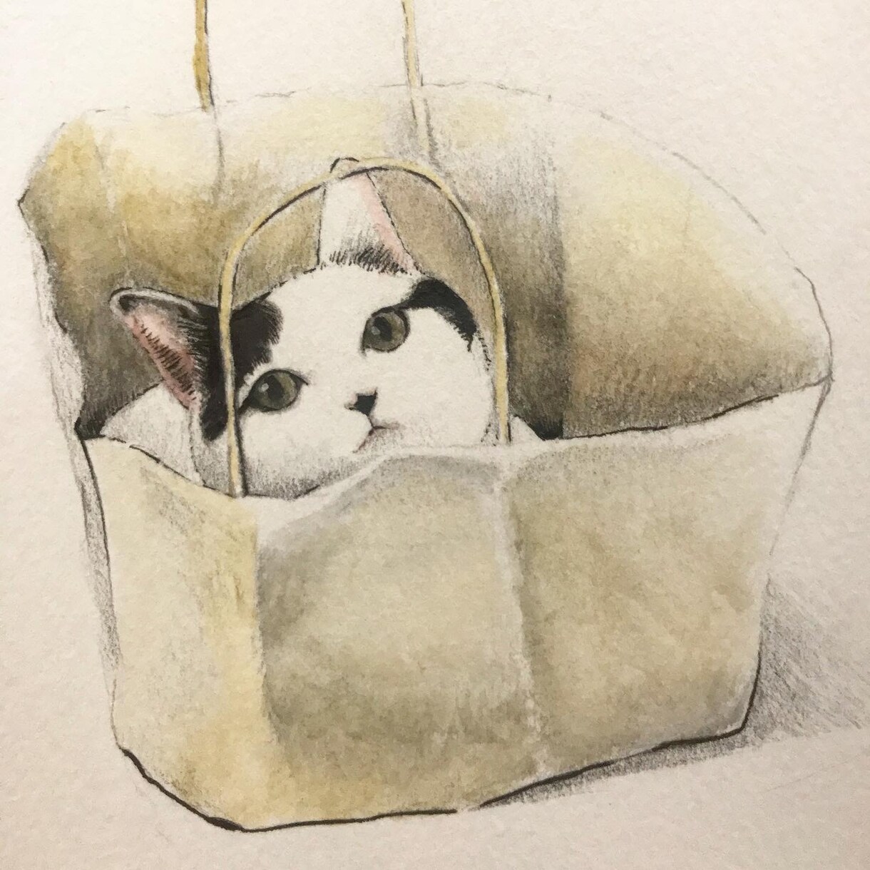 色鉛筆と水彩でペットの似顔絵を描きます 記念日のプレゼントや思い出づくりに最適です。 イメージ3