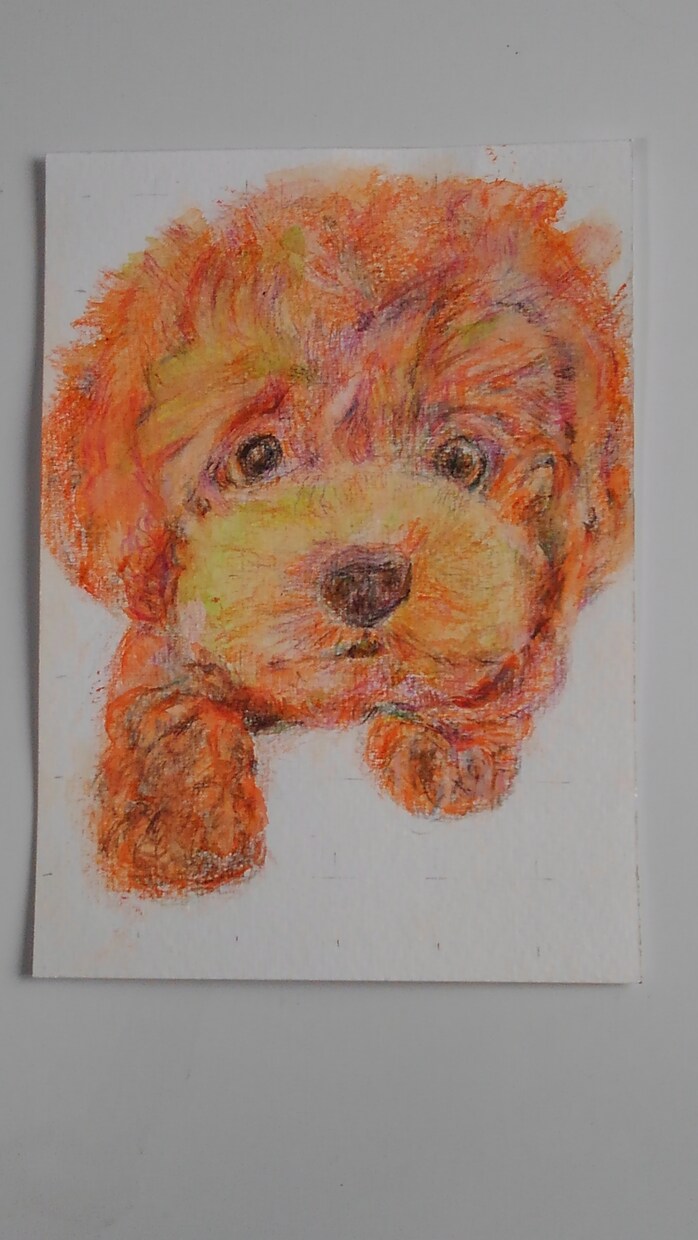 あなたの可愛い愛犬の似顔絵を色鉛筆でお描きします 写真を元にお描きしますが、写真とは一味違う表情が出ます イメージ4