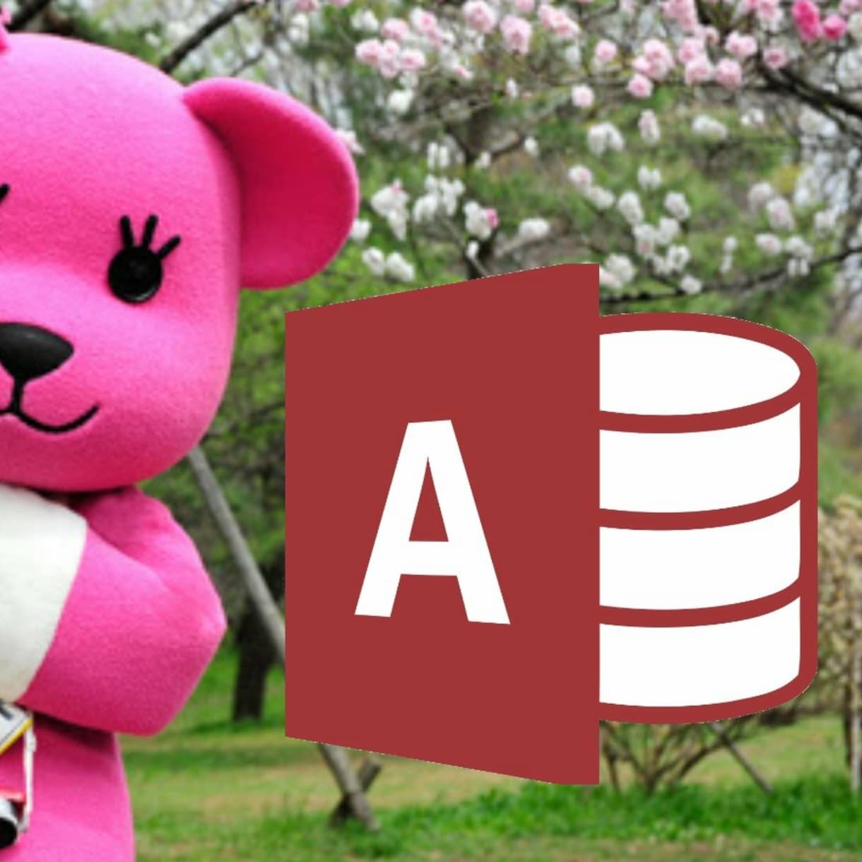 ACCESSメンテナンス全般承ります ACCESSの修正サポートもOKです イメージ1