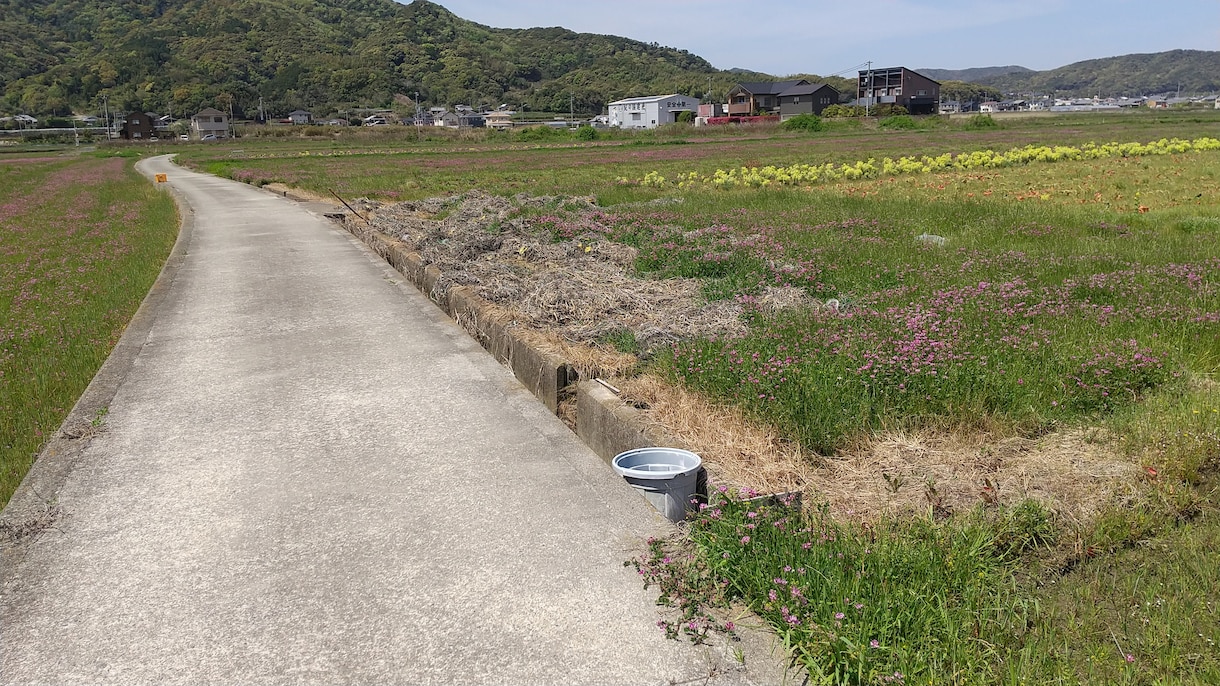 法術ヒーリングの動画をオーダーメイドで作ります 生き辛さの原因となる内側の重さを自然にほどいていきます イメージ2