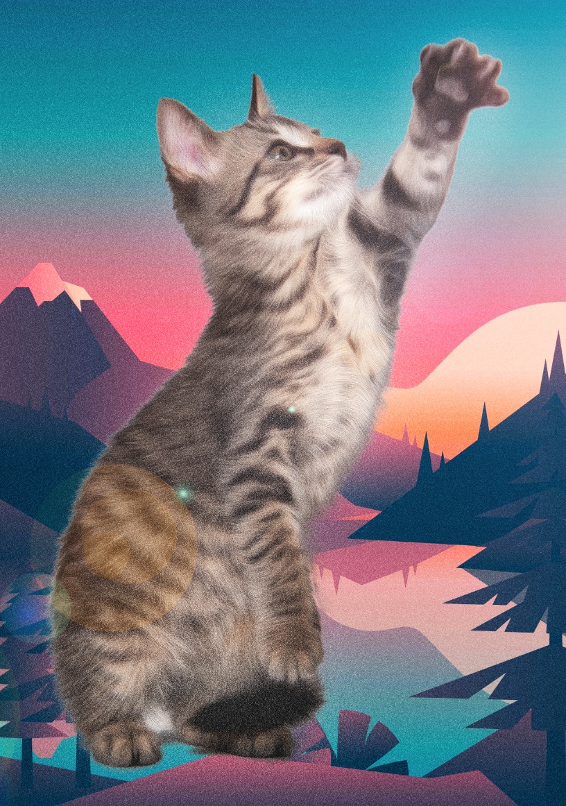 猫、犬などペット写真合成加工します 猫、犬、インコ、動物ペットの写真をイラスト風に加工します♪ イメージ4
