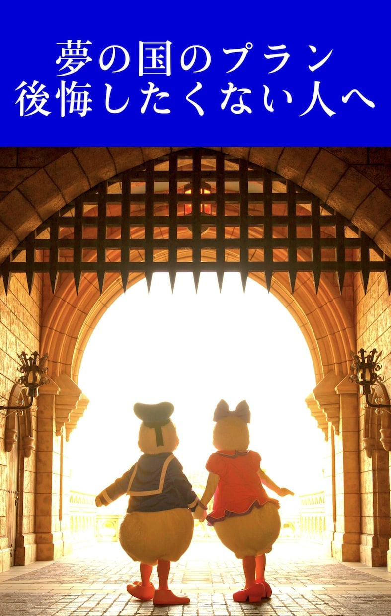 ディズニープラン計画立てます 後悔しないディズニープランを立てます！ほぼ計画通り動けます！ イメージ10
