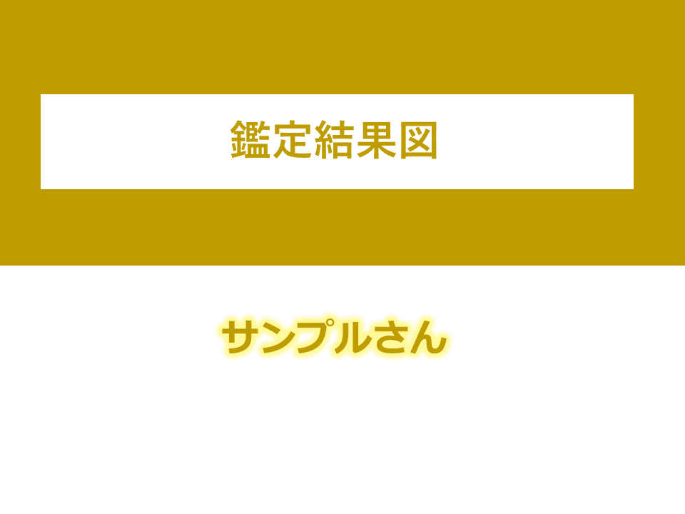 宿命線や運命線が教えるホロスコープ総合鑑定します 夢や目標を実現するヒントや人生の岐路を丁寧に鑑定します イメージ2