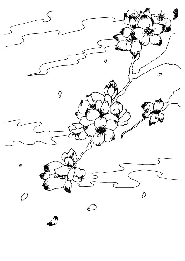 線画のみのお花の絵描きます いろんな用途でご使用できます。 イメージ4