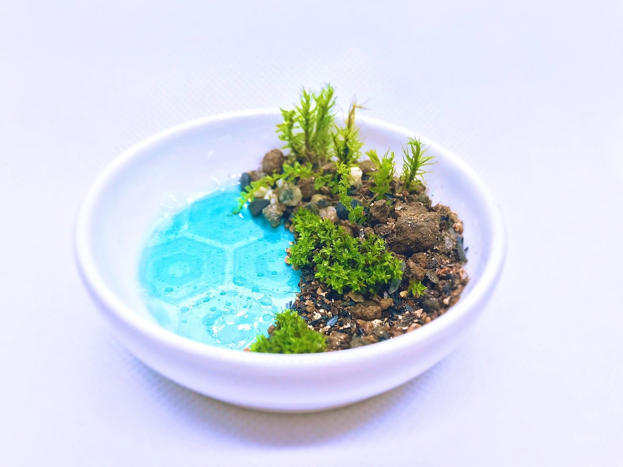 苔の美しいテラリウムをお作りします 色彩スキルを生かした世界に一つオーダーメイドの苔リウムです。 イメージ1
