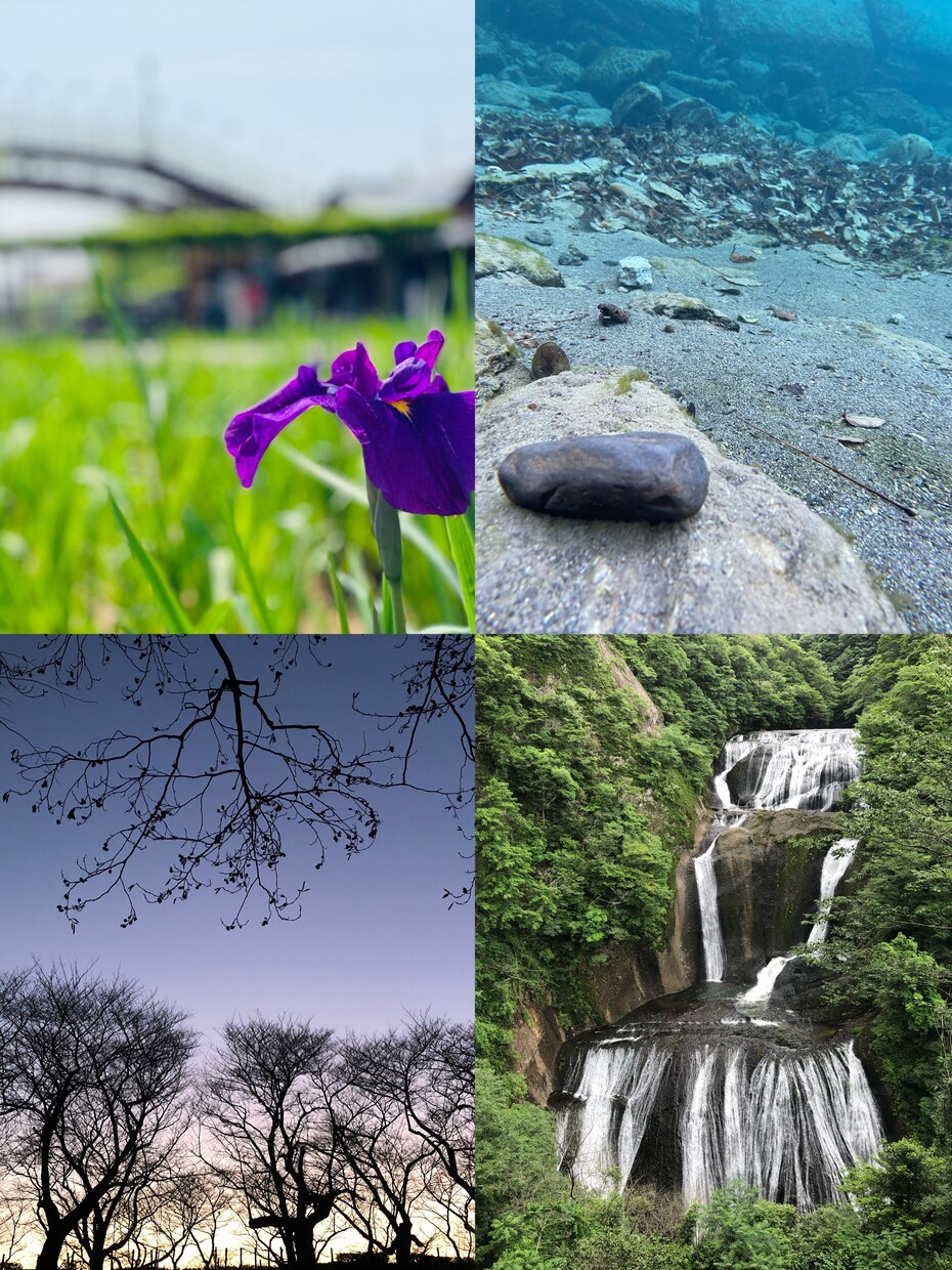 草花や風景などの写真素材提供します 背景やイラストの素材でお困りの方へ！ イメージ3