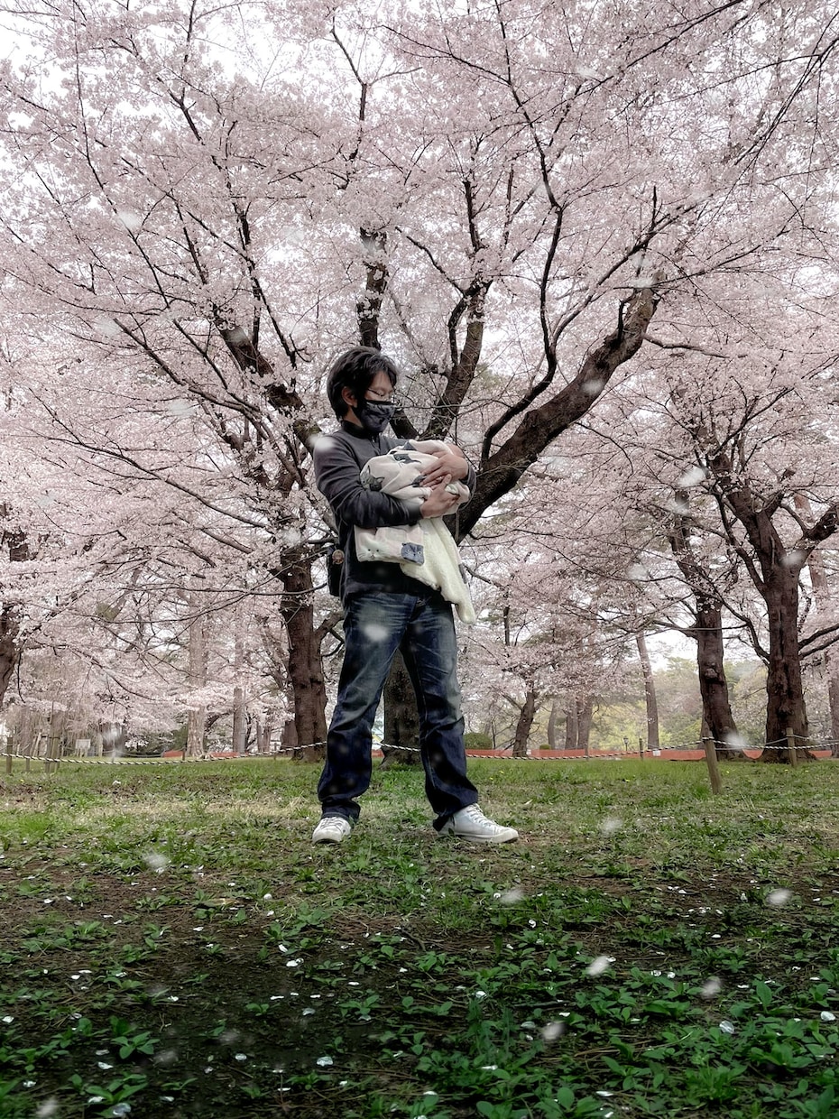 風景写真に桜吹雪を追加します 写真編集歴3年｜特別な1枚を作ります！ イメージ6