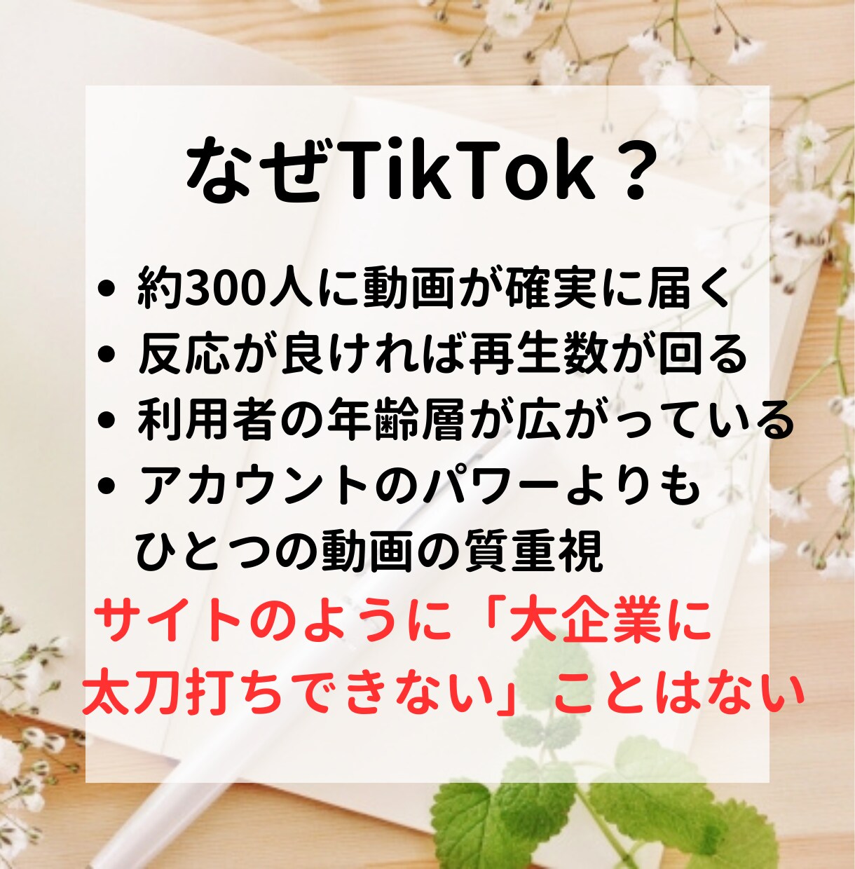 サイトの記事をTikTok動画にします 台本・声・編集・分析【20本・1分程】すべておまかせください イメージ4