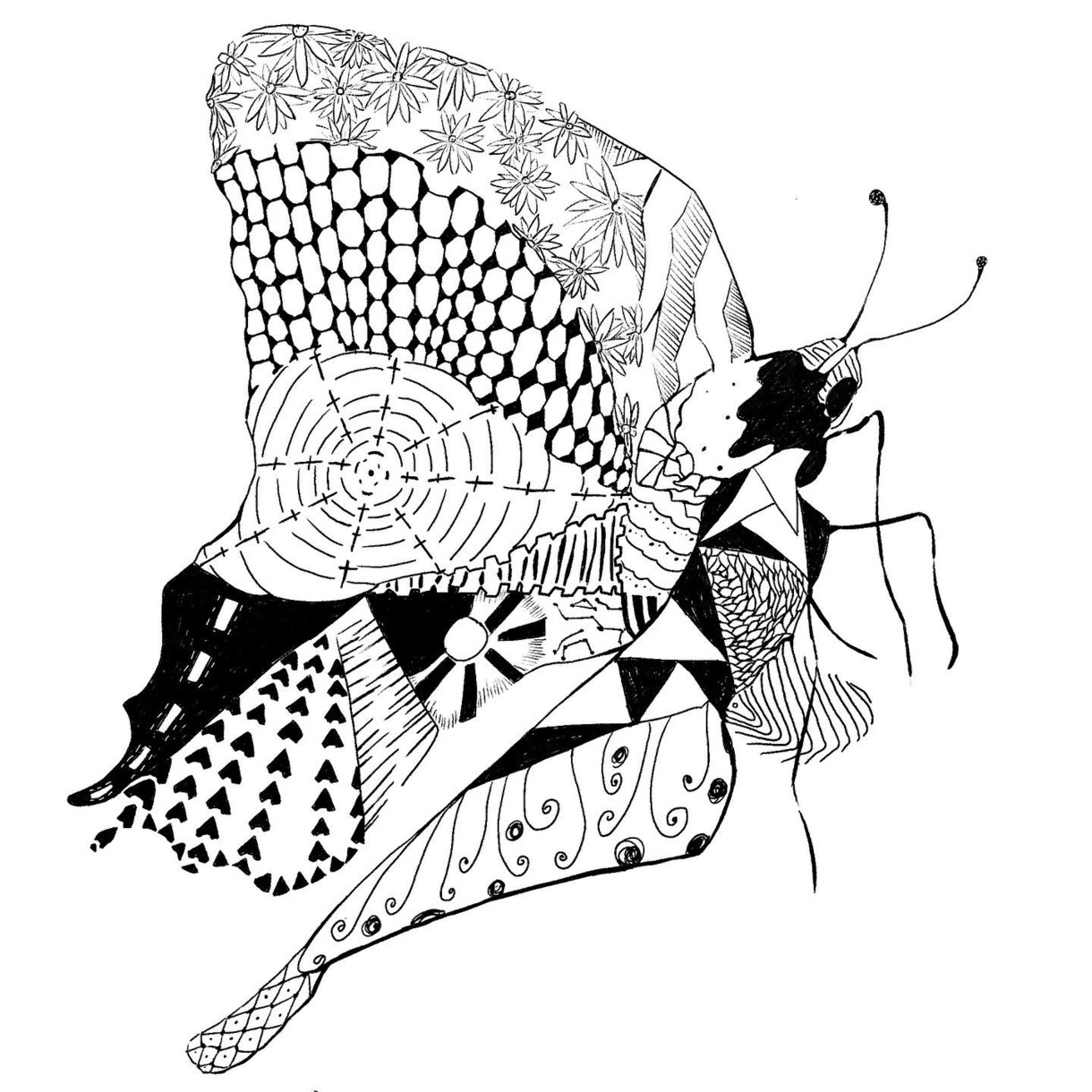 オシャレな昆虫、微生物のイラスト描きます オシャレでかっこいいモノクロのイラスト描きます イメージ7