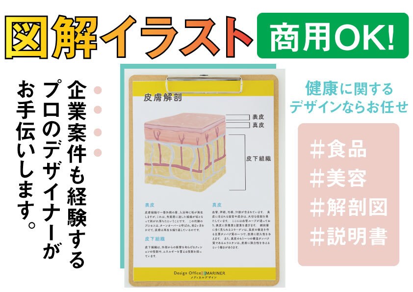 素材お探しですか？図解/美容/解剖イラスト描きます 前職理学療法士でプロのイラストレーターが描く安心クオリティ！ イメージ1