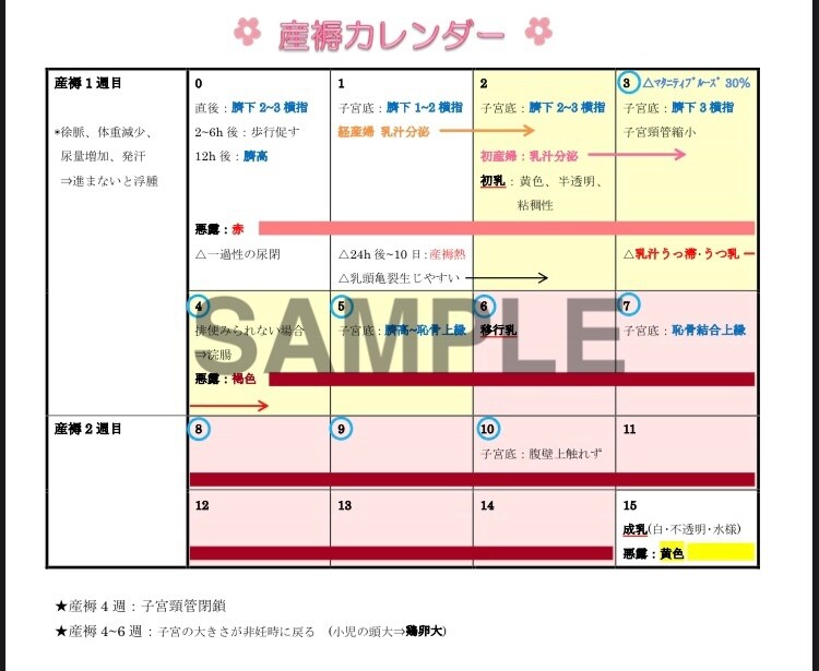母性・小児看護学の学習に役立つ資料を販売します 実習・国試対策に！妊娠〜出産〜小児の発達をまとめたカレンダー イメージ1