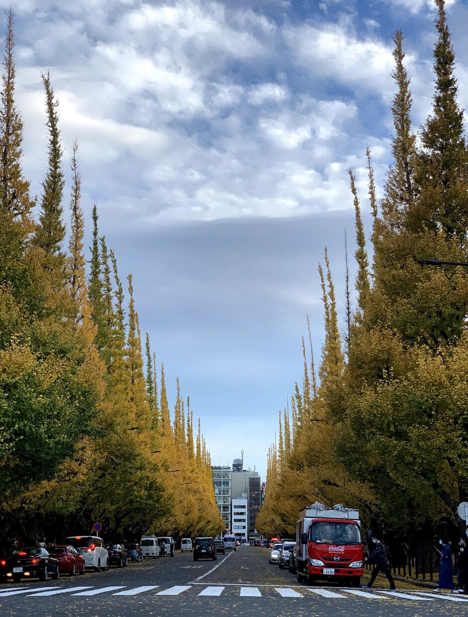 普通の写真を鮮やかに仕上げます 埋もれる写真から、選ばれる写真へ イメージ1