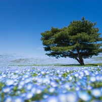 あなたの愚痴や悩みをお聞きします 日々、ストレスを感じているあなたへ イメージ2