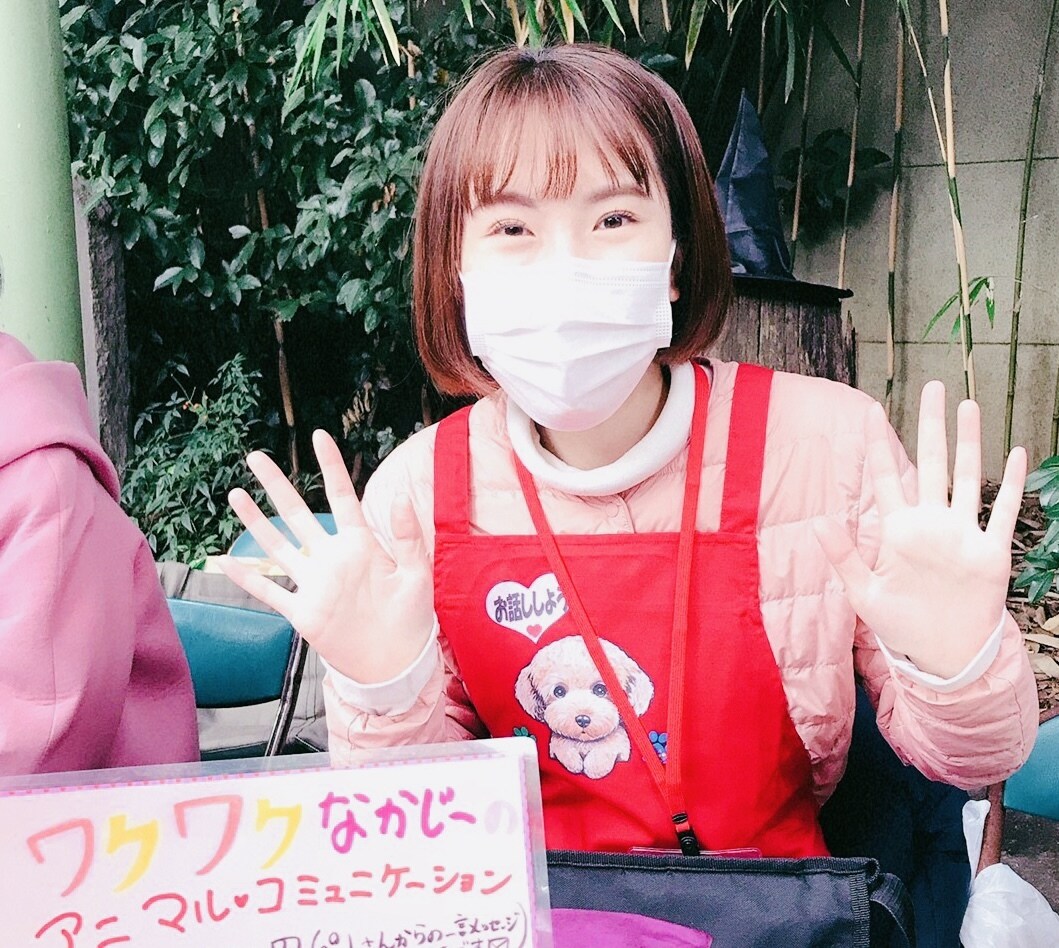 ハピネスコース　アニマルコミュニケーションします 【ハピネスコース】※ 質問3つ　アニコミを楽しみたい方へ イメージ3