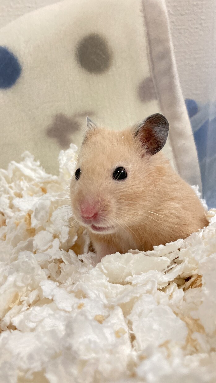 周りには話しずらい悩みや愚痴なんでも伺います 誰かに聞いて貰うだけでいい方もお話聴かせてください イメージ1
