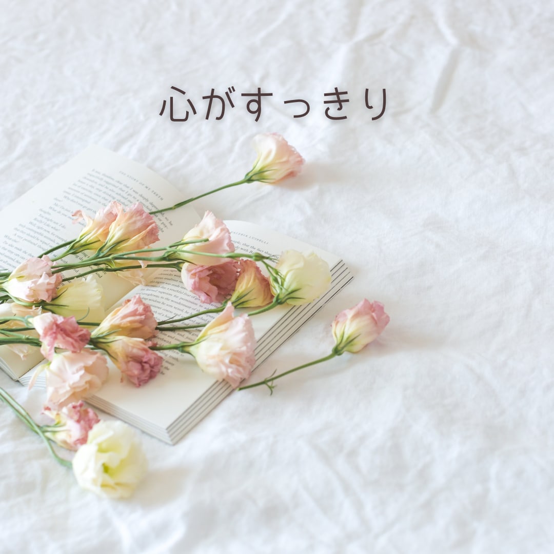 学習内容の定着化をお手伝いいたします 学んだことを話してアウトプットしませんか？ イメージ4