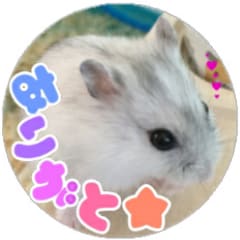 LINEスタンプ作成します 写真を使ってLINEスタンプを作成します♪ イメージ3
