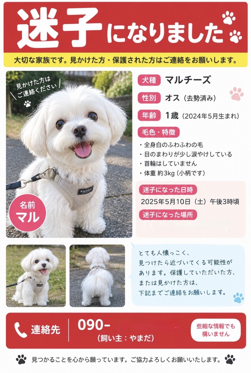 迷子ペットの捜索ポスター作ります 大切なペットを見つけるためのポスターを作成します イメージ2