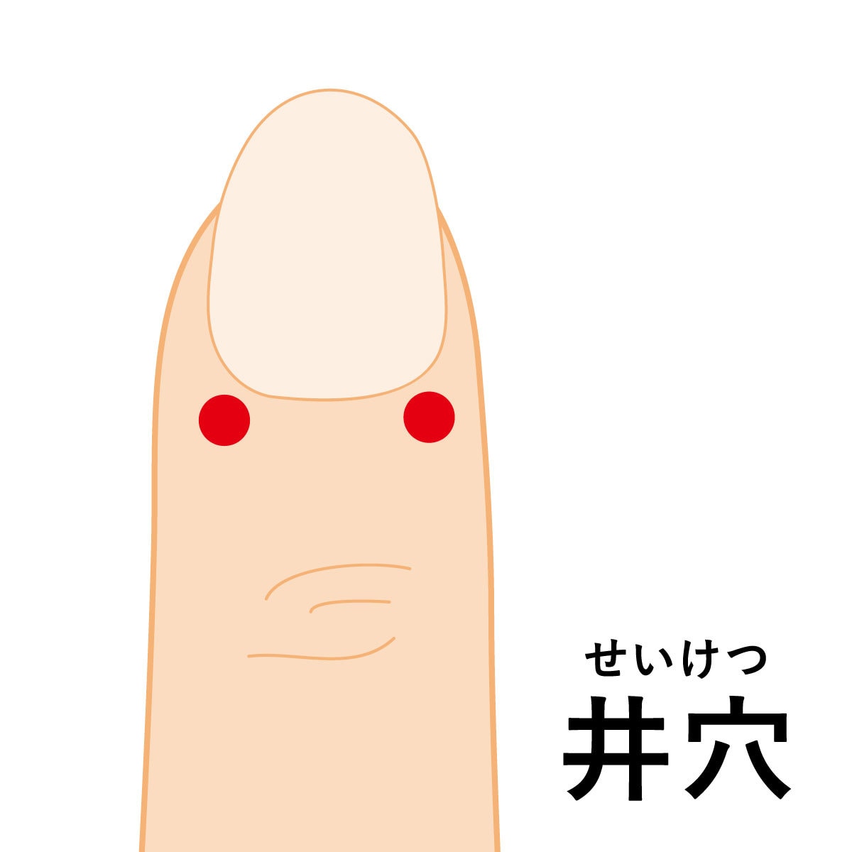 井穴ツボ療法で健康に！ます 指先のツボを刺激し自律神経を整え不定愁訴を自分でケアします！ イメージ5