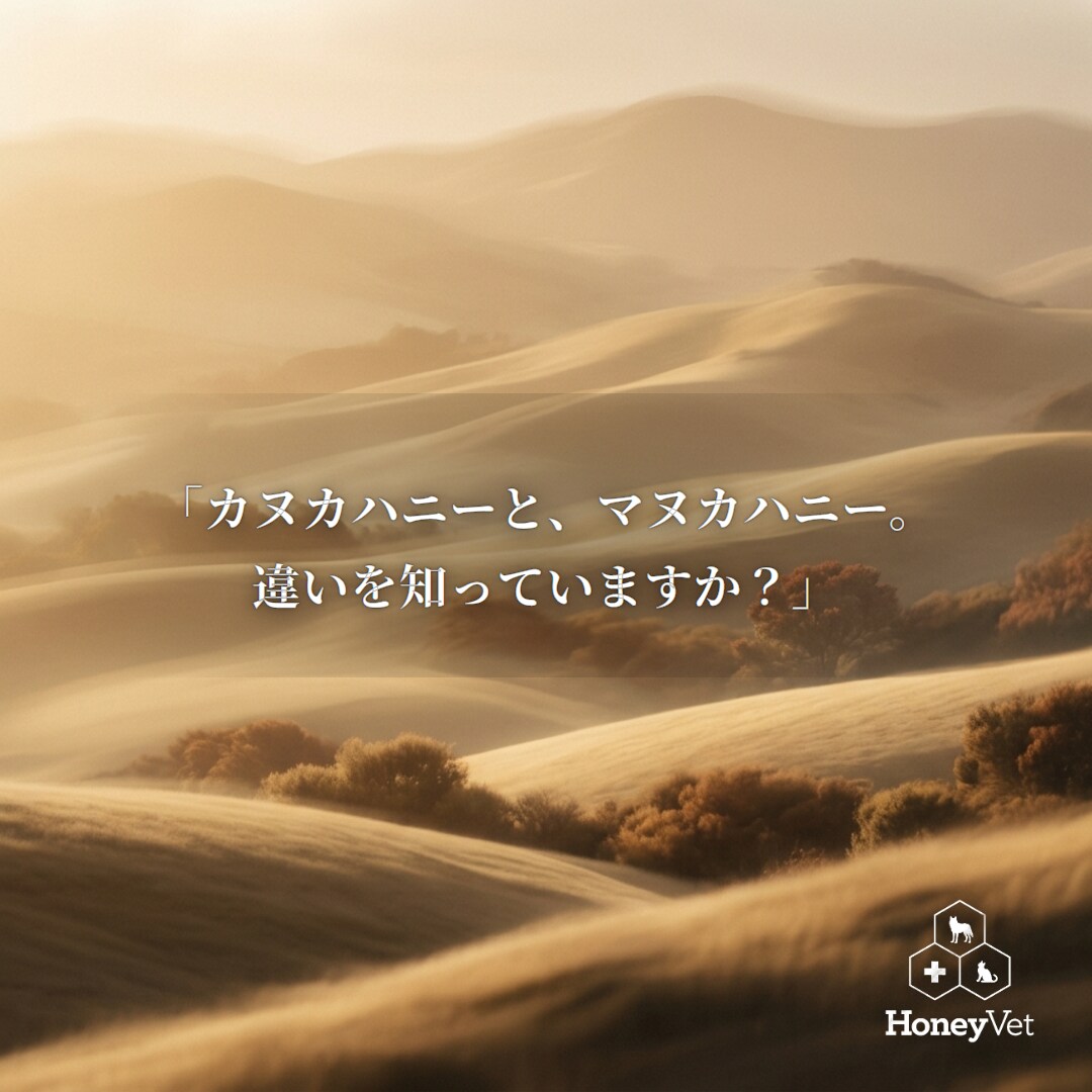 Excelの集計・不具合を自動化します 毎週・毎月の「同じExcel作業」を仕組み化してゼロに！ イメージ1