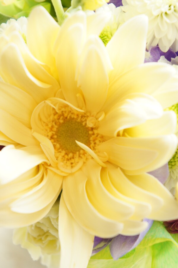生花のことなんでも相談にのります キャリア30年以上の現役花屋が教える花と暮らしのいい関係 イメージ3