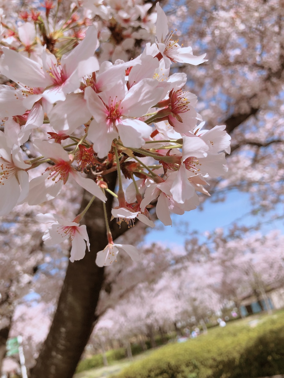 ちょっと聞いて欲しい心のモヤモヤ話、私が聞きます 悩み相談や、日頃のモヤモヤを吐き出しませんか？？ イメージ1