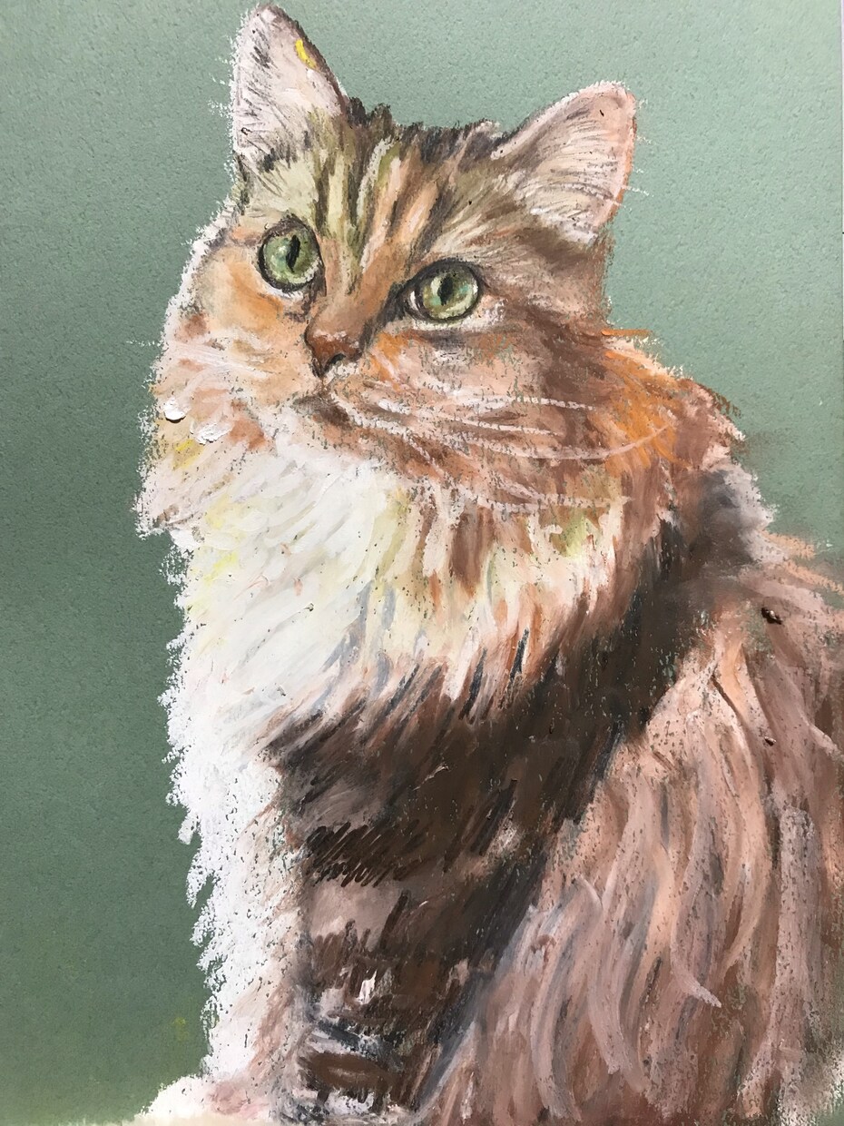 愛猫や愛犬の絵を描いています 油絵に似たチョークアート画です。とてもしっとり仕上がります。 イメージ4