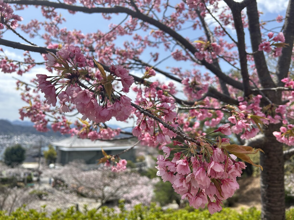 暇つぶし・日頃の出来事を聞きます 愚痴でも嬉しかったことでも何でもOK！必ず秘密厳守です！ イメージ1