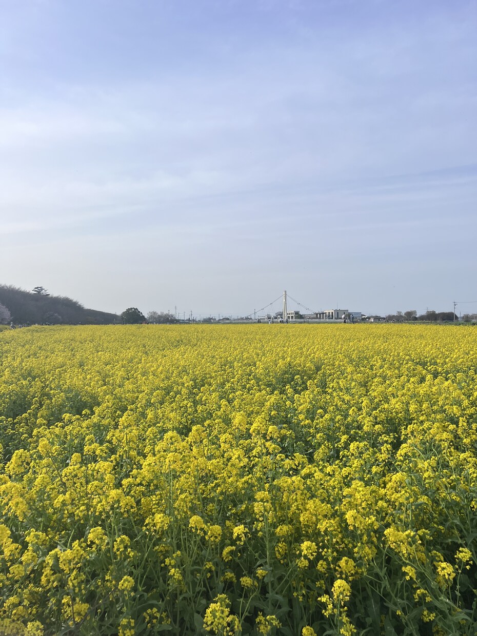 相手の心情がわからないそこのあなた！話ききます 恋愛相談何でも聞きます！なんでも話してください！ イメージ1