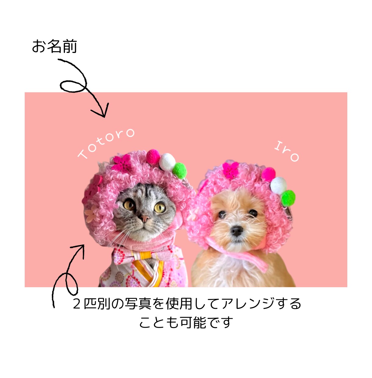 ペットの可愛さ引き出す『うちの子名刺』を作成します 背景色はお任せください！ペットに合わせたお洒落な仕上がりに イメージ4