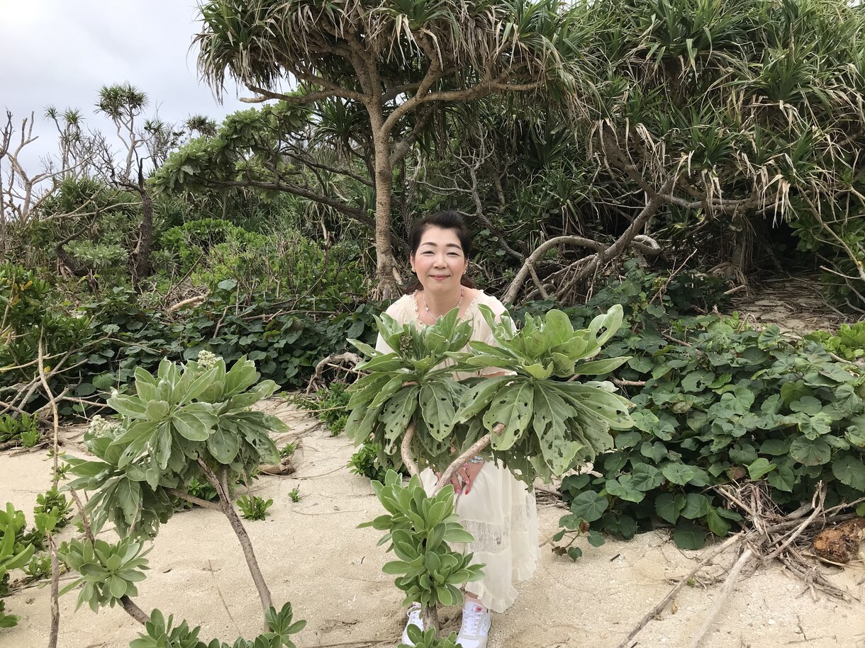 悩みのご相談を霊感やカウンセリングでお伺いします 占い師の経験を生かし　上手くいく方へ導いて行きます。 イメージ4