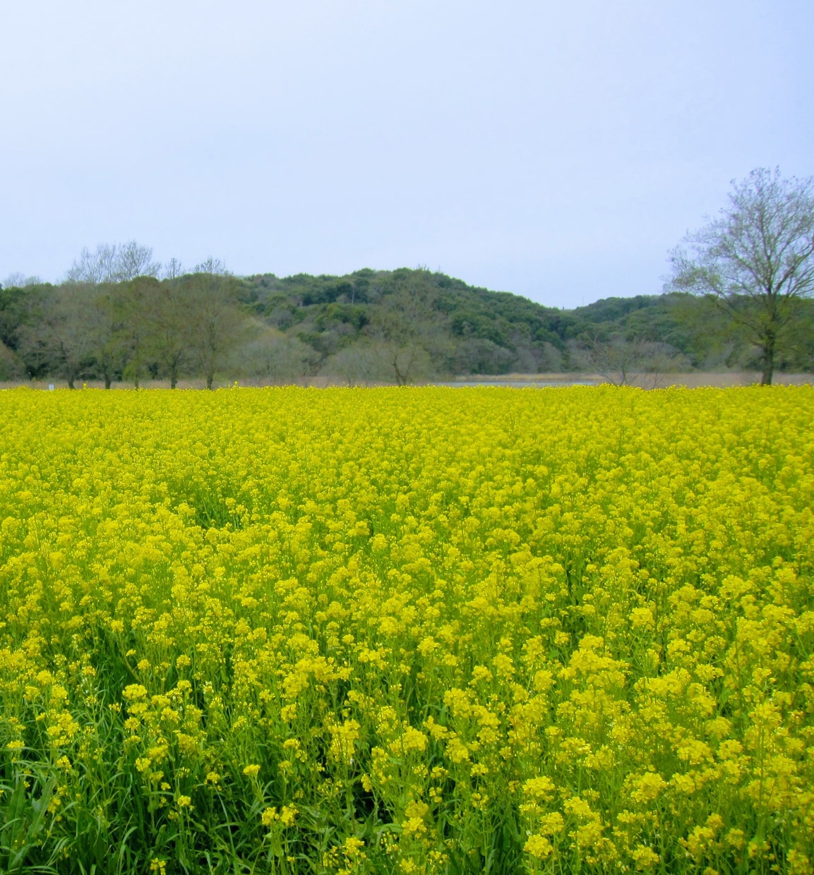 1分～気軽に雑談♪心の疲れをふわっと軽くします 友達感覚☆だれでも何でも話せるあなたの居場所✨ イメージ5