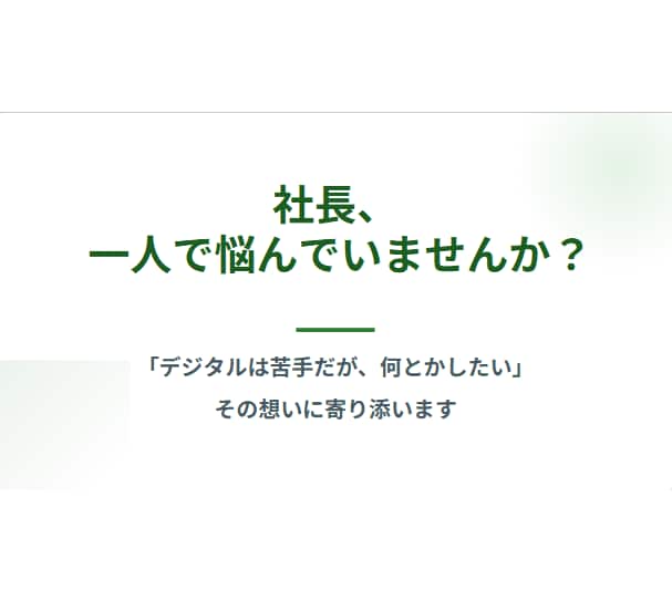 20名以下の御社IT専任としてデジタル化推進します あのExcelを作った社員が辞める日は、予告なく来ます イメージ2