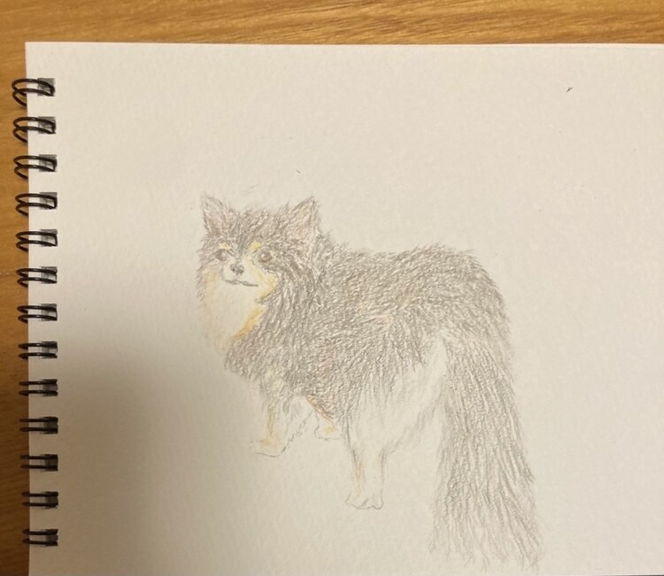 可愛いペットの似顔絵お描きします 色鉛筆を使って温かく柔らかな印象に仕上げます！ イメージ1