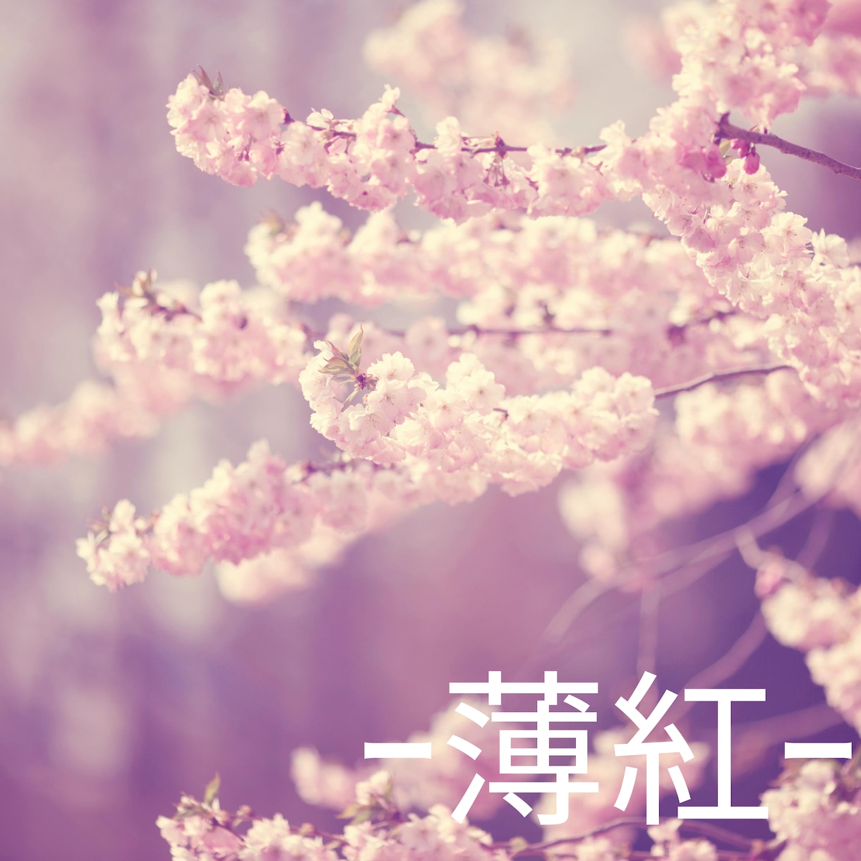 咲彩color診断〜あなたの色お伝えします 魂の色からその人の本質、個性をお伝えします イメージ9