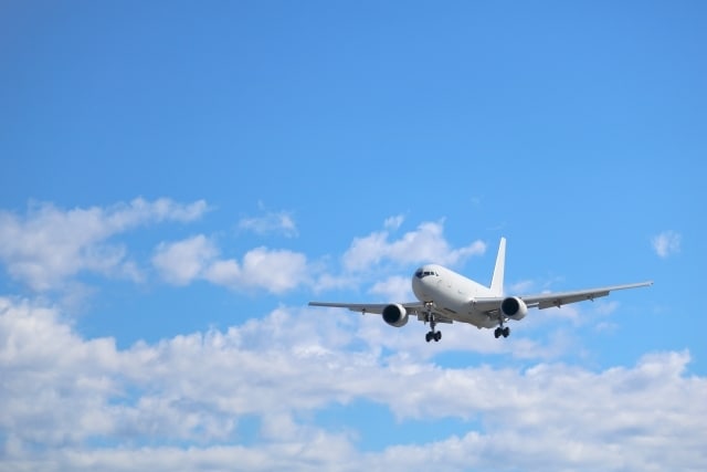 Airline apply supportします Airline job aid by pro advisor イメージ1
