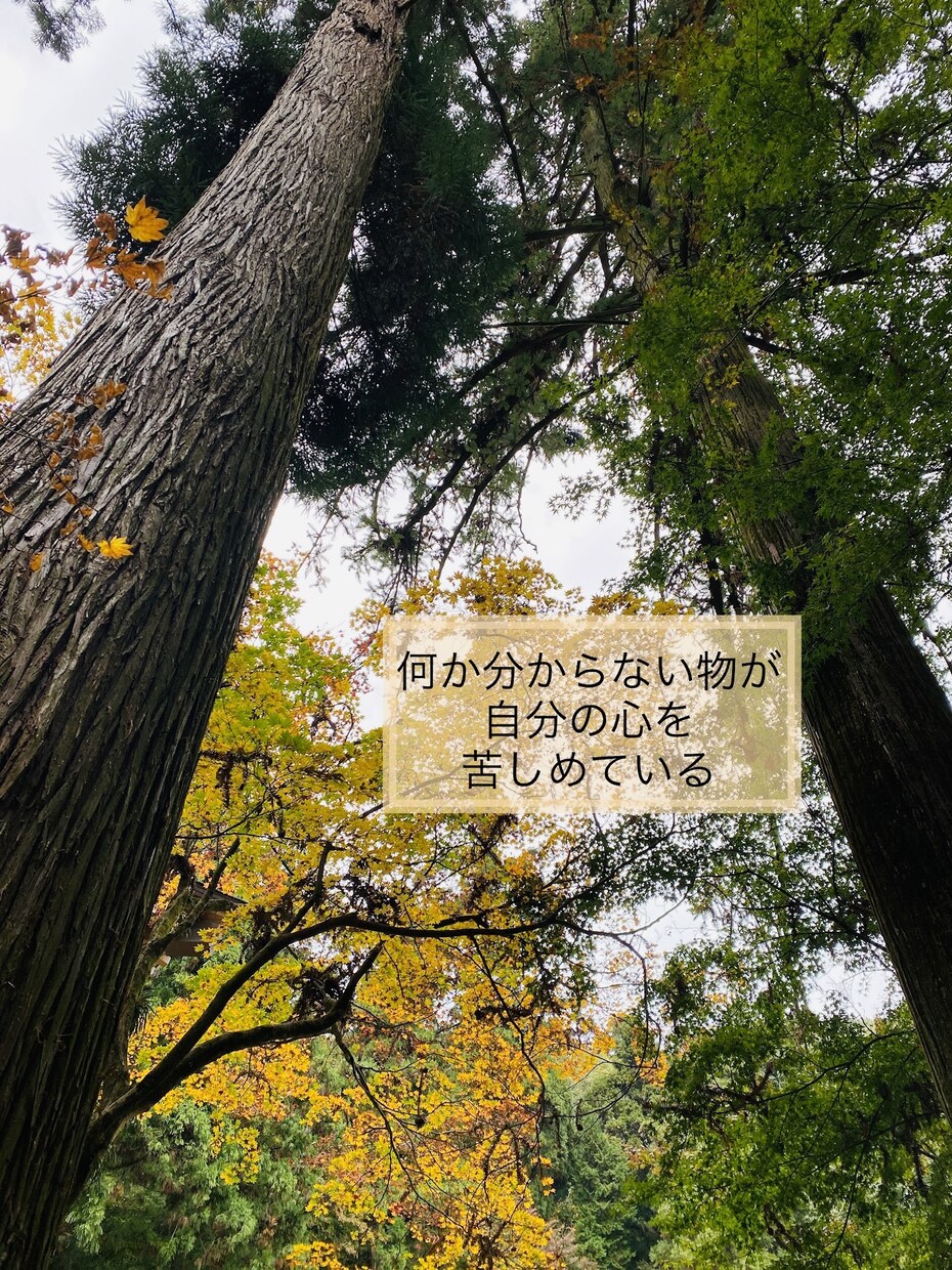 あなたの話し相手になります どんな事でも大丈夫。否定せずあなたに寄り添います イメージ3