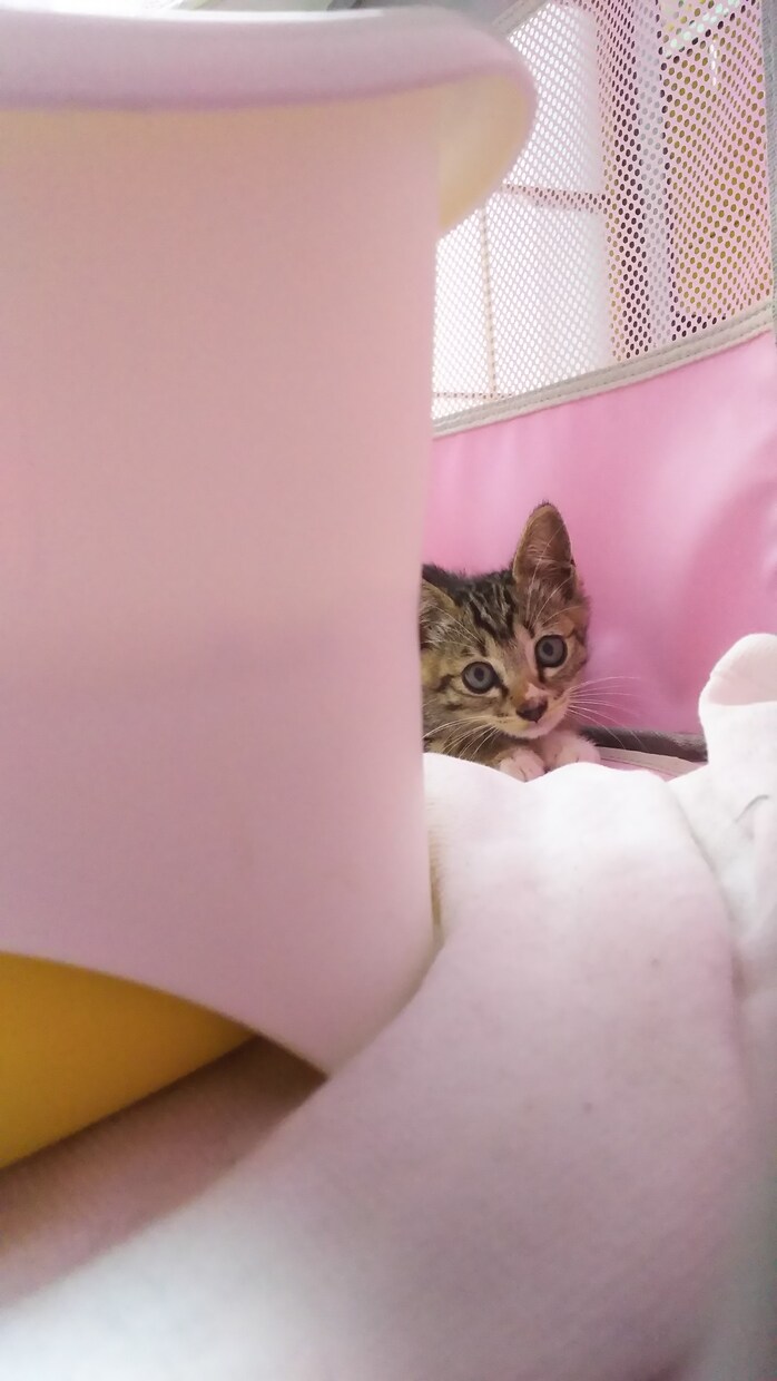 日々を楽しく過ごすお手伝いをします 日々にもやもやを抱えているあなたへ イメージ1