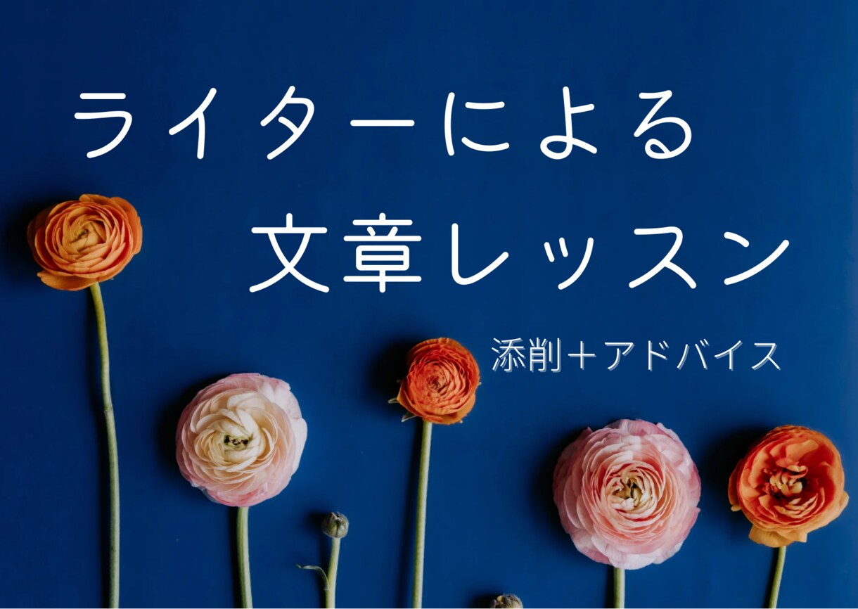 ライターがあなたの文章を添削＆アドバイスをします ◎単発利用OKの格安レッスン！あなたの文章をぐっと魅力的に イメージ1